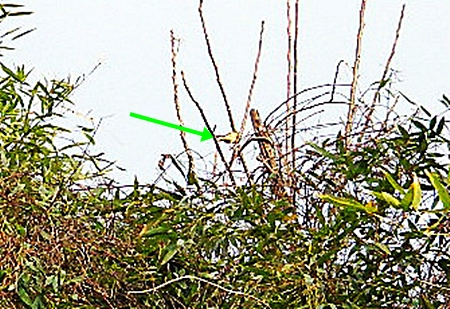d0144618_21413511.jpg