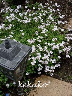f0170524_14265829.jpg