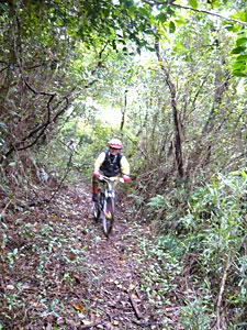 d0023725_17391650.jpg