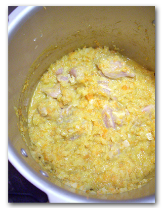 ヨーグルトカレー レシピ_c0103827_1012465.jpg