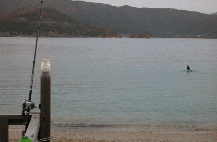 b0100637_2024445.gif