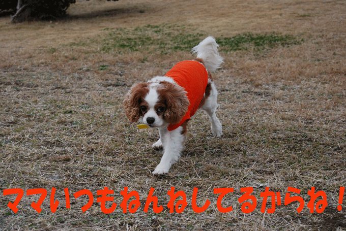 c0136838_2225076.gif