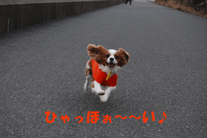c0136838_22311127.gif