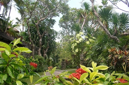 Tandjung Sari ～ タンジュンサリで迎える朝 ・朝食など～_a0074049_22122044.jpg