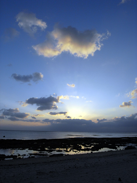 b0049152_1834841.jpg