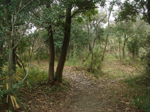 c0108460_15242272.jpg