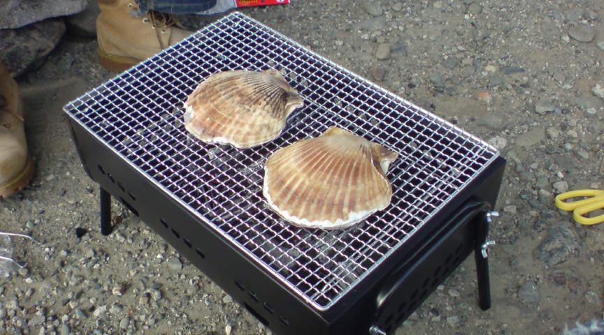 d0022465_22283282.jpg