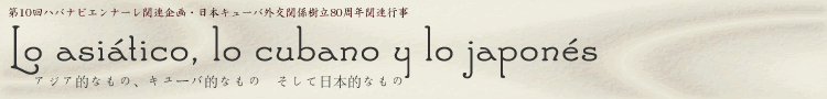 第10回ハバナビエンナーレ_b0052471_23573116.jpg