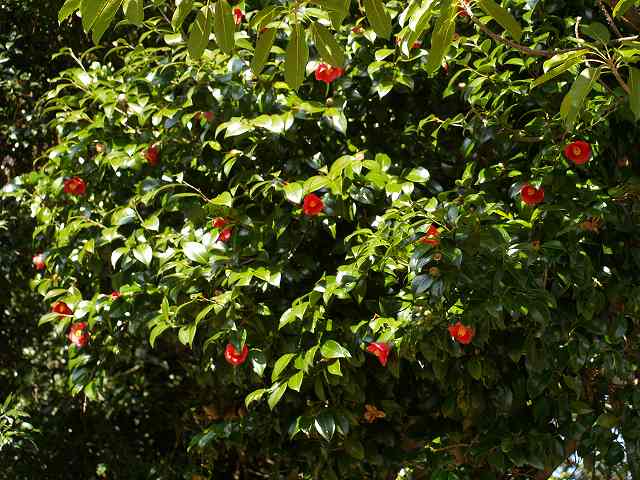 b0135573_19533542.jpg