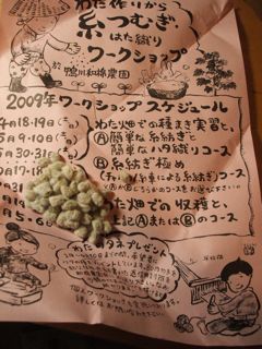 衣類は自給できるのか?_e0149587_82441.jpg