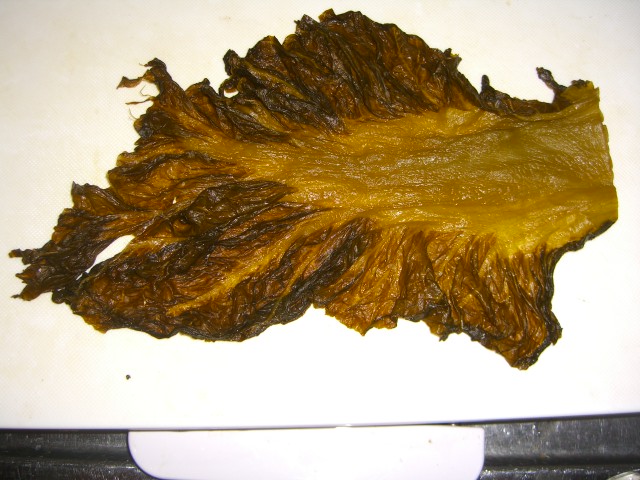 d0072395_17501051.jpg