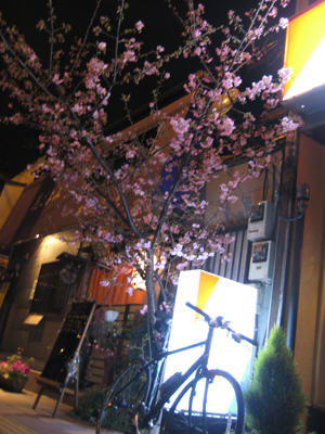 b0097200_011429.jpg