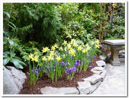 Spring Prelude_b0117700_426368.jpg