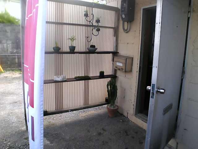 e0155208_1729348.jpg