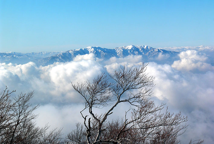 c0078410_232194.jpg