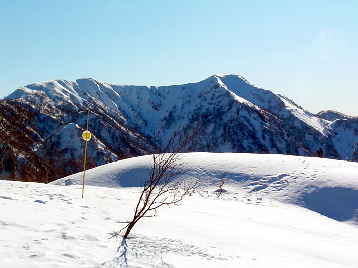 c0078410_2323989.jpg