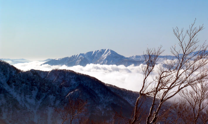 c0078410_2331035.jpg