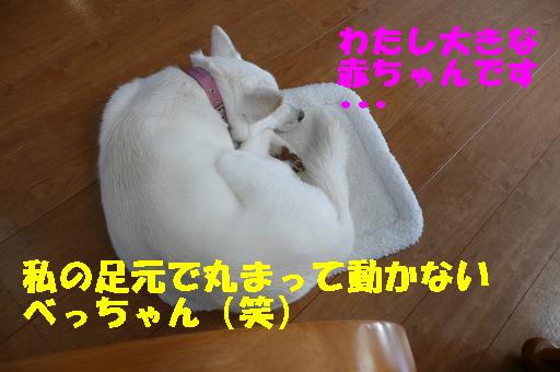 f0121712_05594.jpg