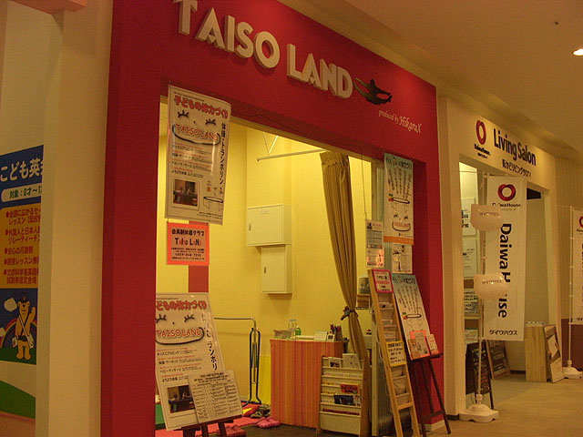 Taiso Land のうんてい_e0072513_21493991.jpg