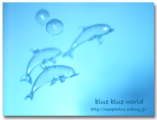 Dolphin blue_e0164518_9325526.jpg