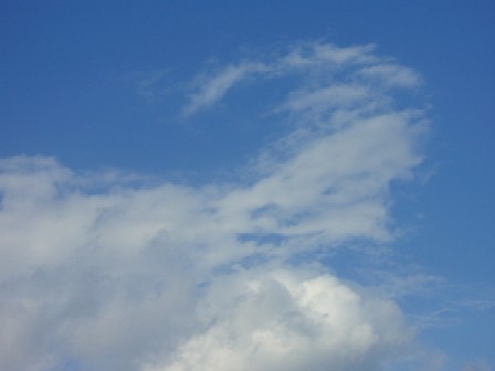 b0122524_073334.jpg