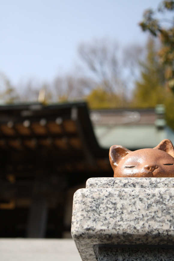 花粉の飛び始め早いって・・(T_T)_e0044635_046488.jpg