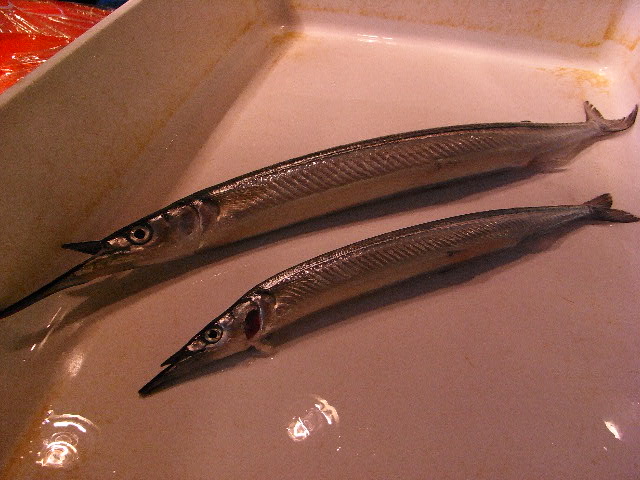 2月3日(火) This is 河岸の閂_d0082944_0505879.jpg