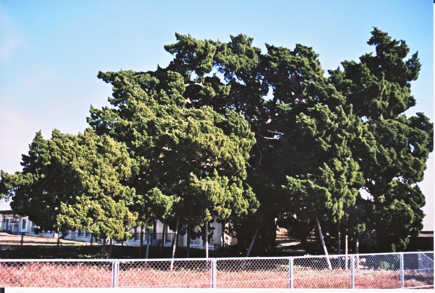 e0156251_07512.jpg