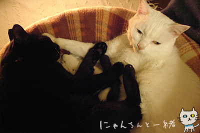 e0031853_05560.jpg