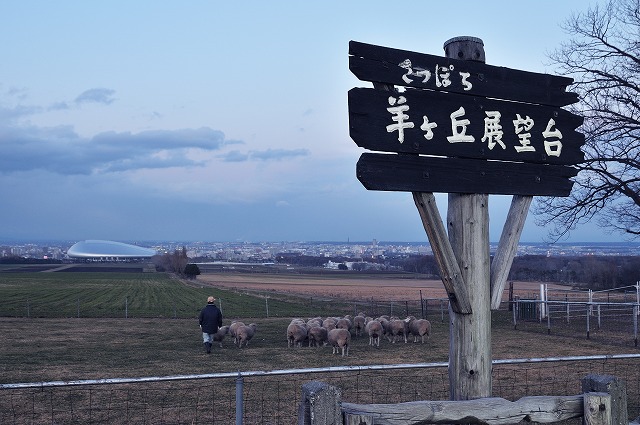 「旅立ちの準備・・・」２月５日今日のショット_d0019260_23534183.jpg