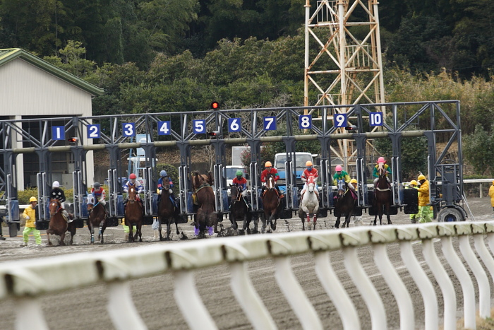 2009年1月31日（土） 高知競馬 7R 松木家協賛 お父さん退職記念特別_a0077663_18101456.jpg