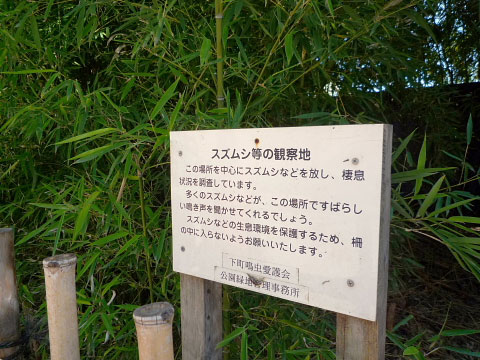 b0053765_12383776.jpg