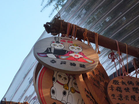 b0053765_1536186.jpg