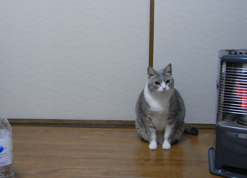 最近ハマってます_b0083267_23121790.jpg
