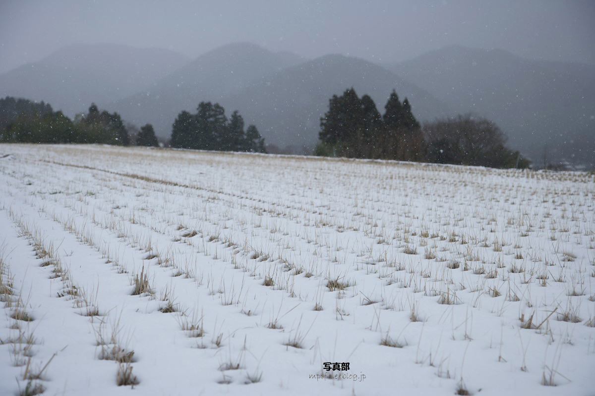 大原　　雪景色_f0021869_23441643.jpg