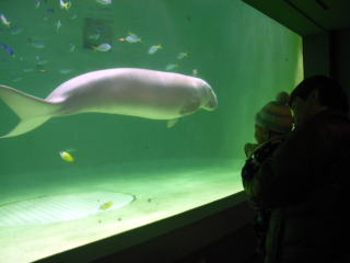 温泉デビュー＆水族館デビュー_d0146870_17325765.jpg