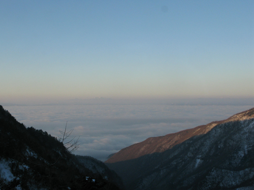 e0120896_8505476.jpg