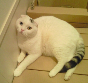 c0181601_17282528.jpg
