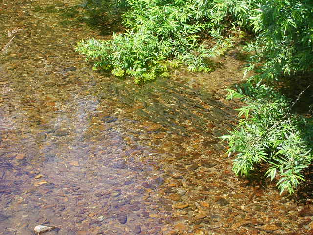 b0050305_1982472.jpg