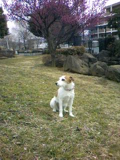 a0040708_214156.jpg