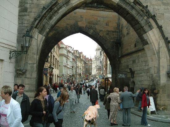 f0191413_11333462.jpg