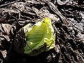 b0159914_1937264.jpg