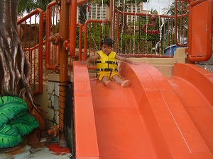 a0110123_081364.jpg