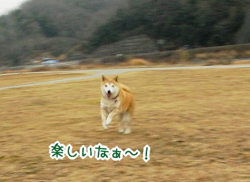 e0072023_19254320.jpg