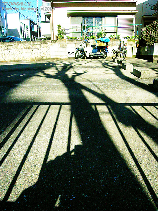 e0016732_0164100.jpg