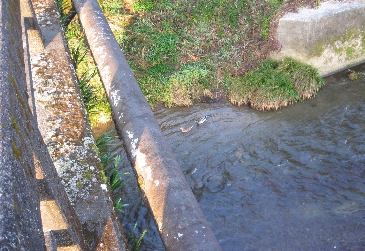 f0042737_1549272.jpg