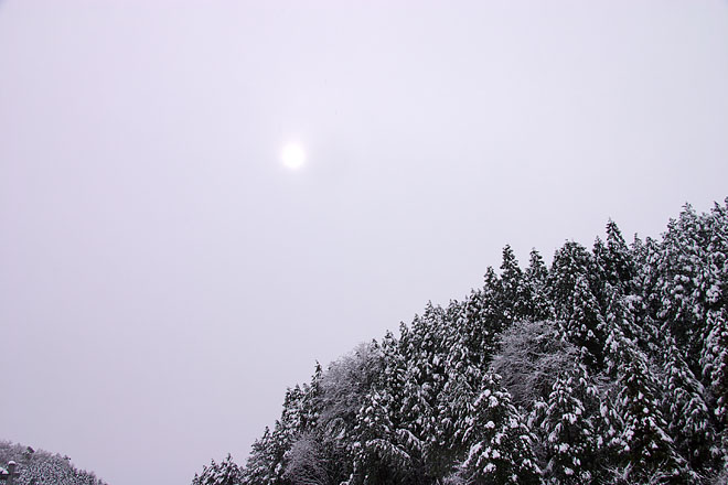 c0067040_21484597.jpg