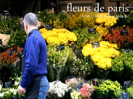 【フランス旅行記】　パリのお花屋さん_d0124248_9173927.jpg