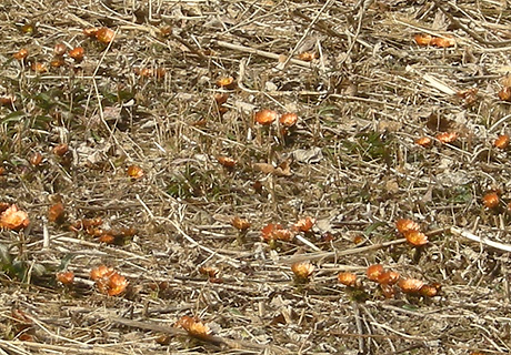 a0001354_21132324.jpg
