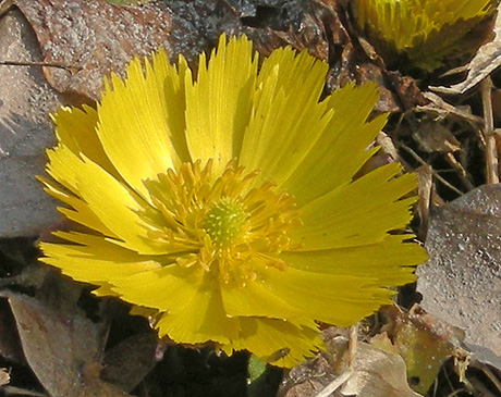 a0001354_21253523.jpg